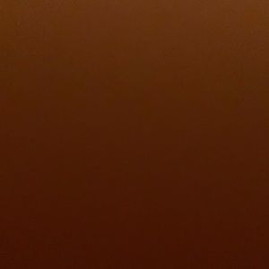 Meet your Posher, Cesar